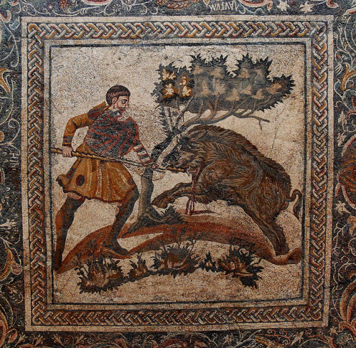 worldhistoryfacts: Roman mosaic depicting a boar hunt (4th century, Spain). Boar hunting was a popul