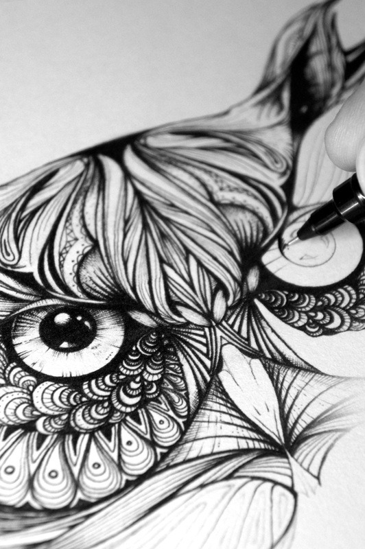 fer1972:  Greg the Owl by Greg Coulton 