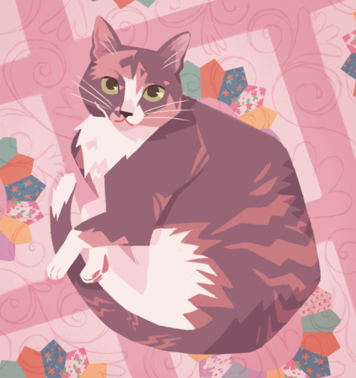 mimiadraws:It was my dad’s birthday yesterday, so I drew his cat as a gift! She has the sweetest fac