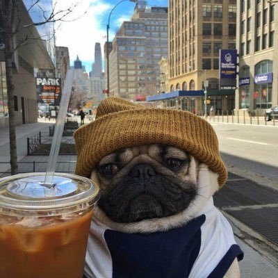 RT @TerrellChuggs: &ldquo;You looking WILD husky in your romper. How many sets of squats u do a 