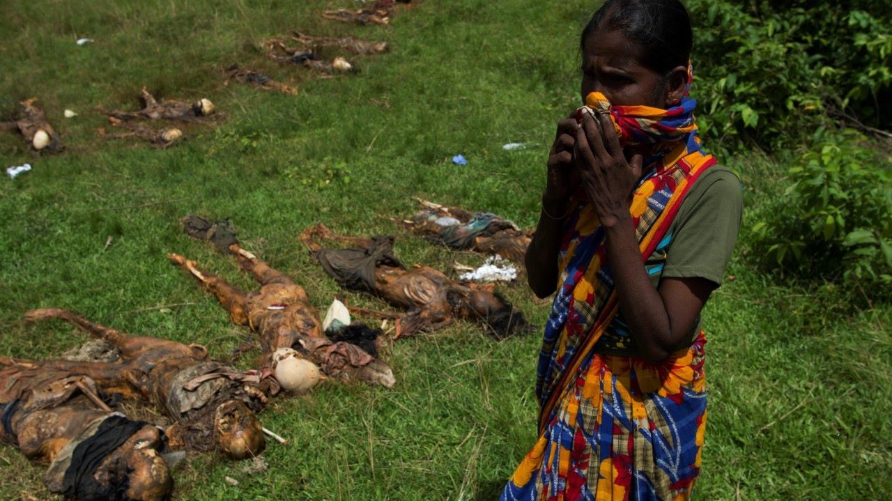 HORROR. Las mujeres hindúes lloran cerca de los cadáveres de sus familiares en la aldea YeBawKya cerca de Maungdaw, al norte del estado Rakhine de Myanmar .
Las tropas de Myanmar siguen buscando a casi 50 aldeanos hindúes más temerosos de ser...