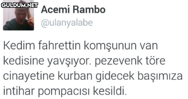 Acemi Rambo @ulanyalabe...