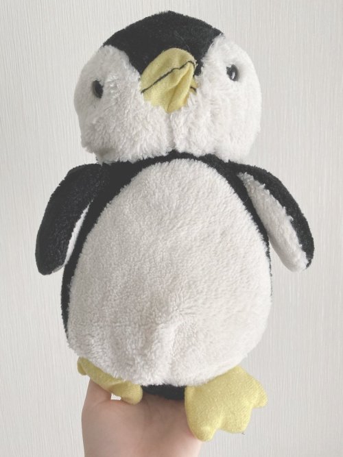 三村妃乃さんのツイート: 【悲報】部屋の片付けをしてたら、布団の下敷きになっていたペンギンのぬいぐるみを見つけました。いや薄すぎん？ t.co/GtPBquX8bu