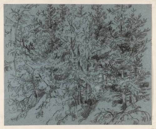 Study of Pine Trees, David Cox, TatePurchased as part of the Oppé Collection with assistance from th