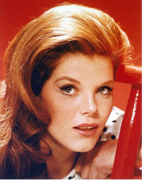 miss-accacia27:Samantha Eggar https://painted-face.com/ porn pictures