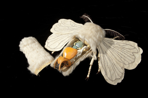atelierentomologica:Models of a silkworm moth and caterpillar, created in a special form of papier-m