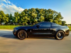 screamingcars:(via Modified 2013 Shelby GT500 Mustang for sale) 