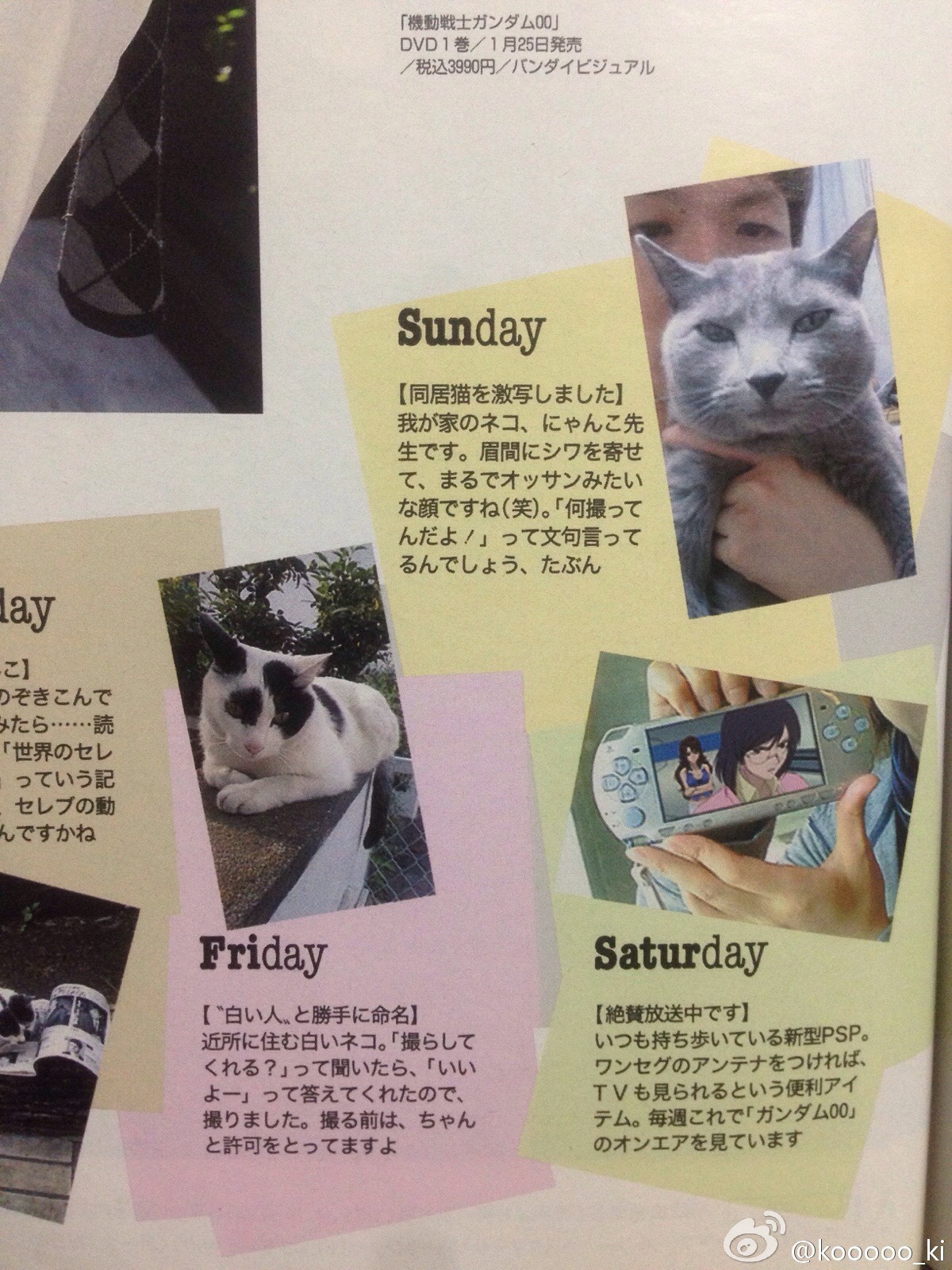So both Kamiya Hiroshi and Jaejoong’s cats are/were Russian Blues&hellip;&hellip;I’m