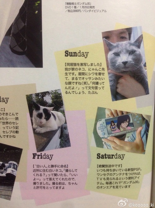 So both Kamiya Hiroshi and Jaejoong’s cats are/were Russian Blues……I’m officially convinced that Levi would be a cat person and possess an affinity for Russian Blues.