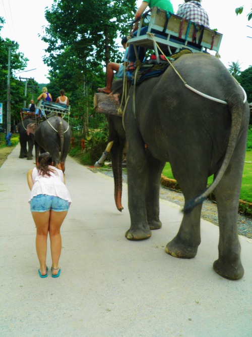 Koh Samui, Thailand. I can’t quite tell who’s bum is bigger.