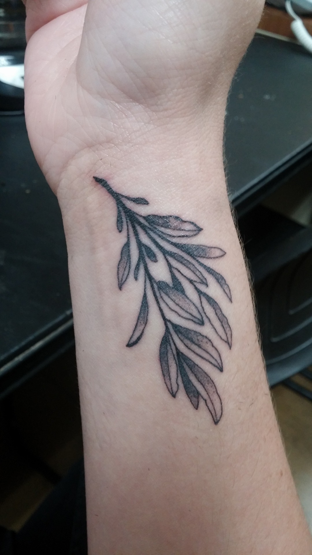Fyeahtattoos Com Sage Plant Done By Nick Phillips At Loyalty Tattoo,Citric Acid Cycle Diagram