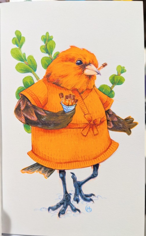 Avian August Day 18 - Hawai'i 'akepa Munching On Chocolate Dipped Candied Orange Peels