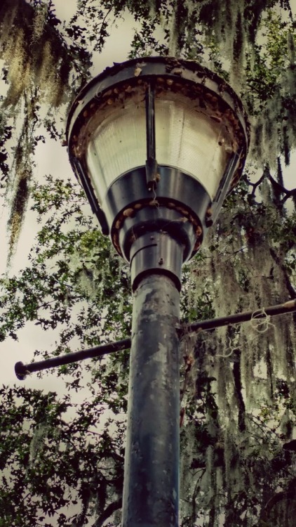 New Orleans  City Park