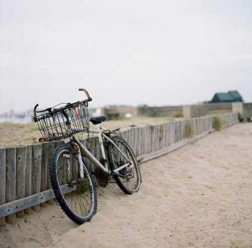 Hasselblad 501cm  |  Portra 400