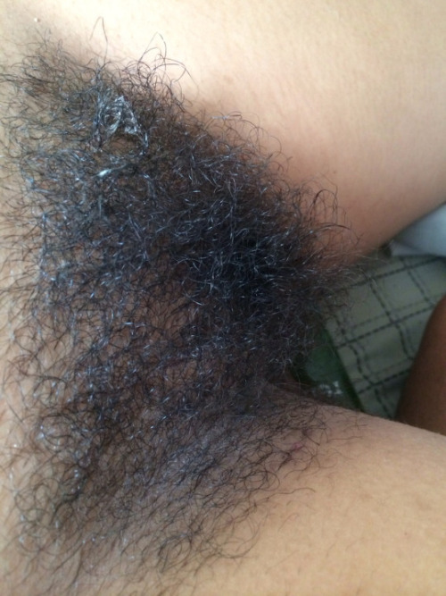 Porn photo Hairy bush!
