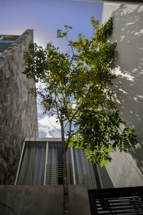 architectur3:  ‘Urban Envelope’ Samuel House MMGS Architects