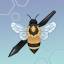 caffeine-bee