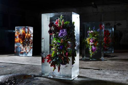 Japanese artist Azuma Makoto 東信“ICED FLOWERS”とは、花々を氷で包み込み、その中で刻まれていく命の変化を鑑賞する作品です。氷の中に存在することによって引き立て