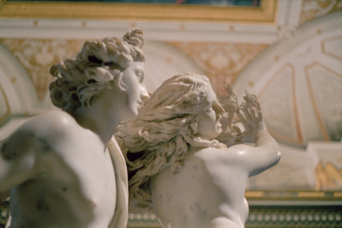 barcarole:Bernini’s Apollo and Daphne at the Galleria Borghese in Rome, 2016. Photos by Stuart