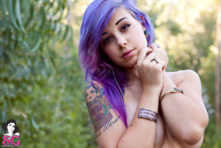 idreamofsuicidegirls:  Plum I Dream Of SuicideGirls