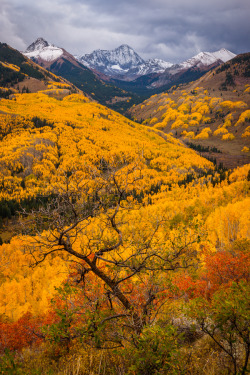 bluepueblo:  Autumn, The Rockies, Colorado photo via elizabeth  