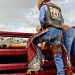 cowboy-life-deactivated20200425: