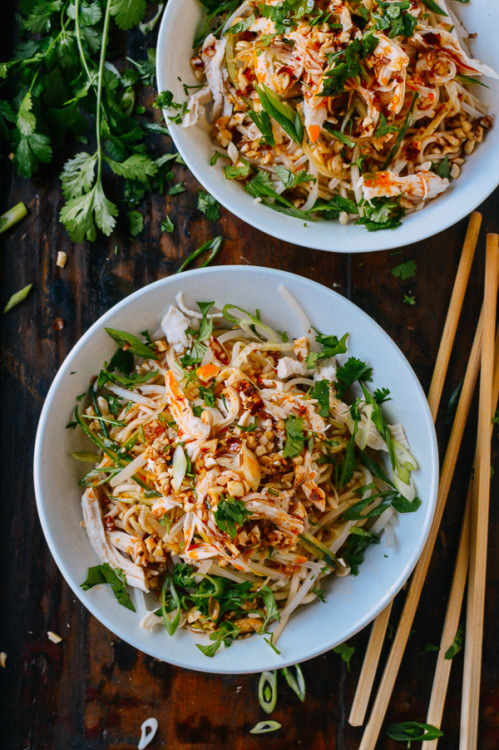 foodiepalooza:  Cold Noodles with Shredded Chicken  