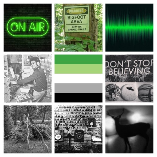 palatteflags: Radio Station/Cryptidcore based Arospec moodboard!! ^^For an anon~ Hope you like this!