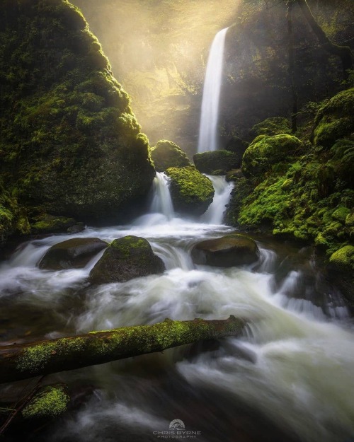 Photo from @chrisbyrnephotography - Columbia Gorge - Image selected by @ericmuhr - Join us in explor