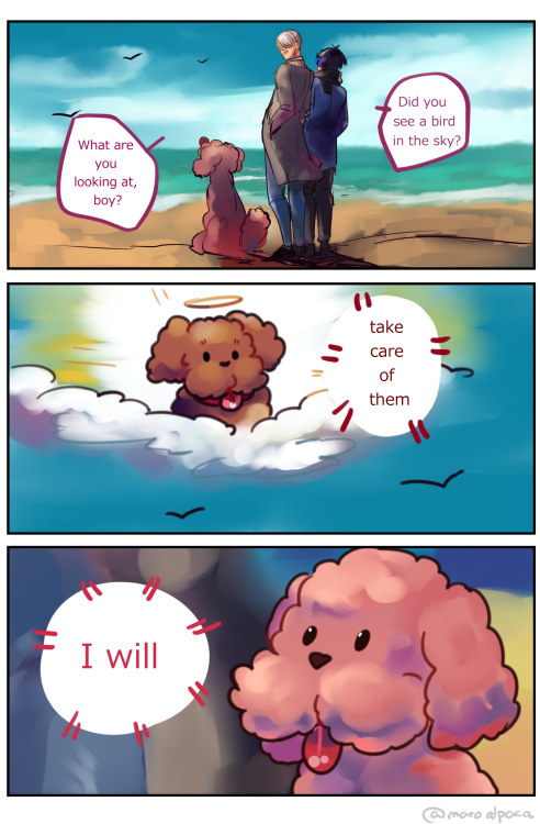 maroalpaca:Makkachin will protect Victor and Yuuri forever Reference to this post x by @moamiWow.Tha