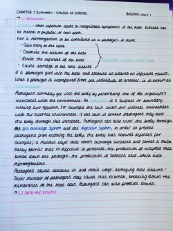 studynowcelebratelater:  Colourful notes