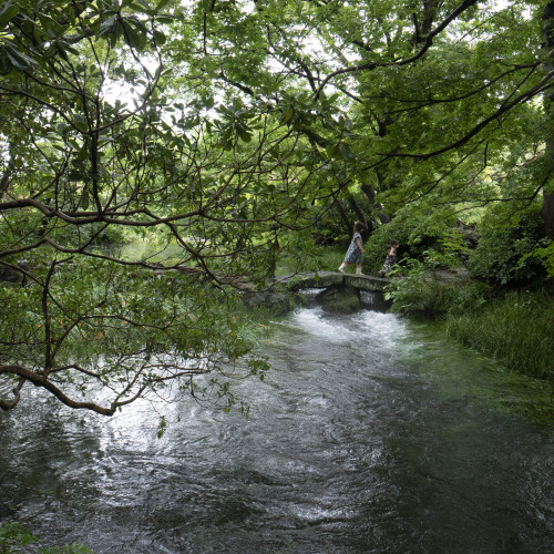 water-aesthetics:by Tetsu Hiragamore photos: www.instagram.com