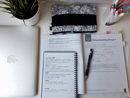 Polishing Up Essay Writing Skills