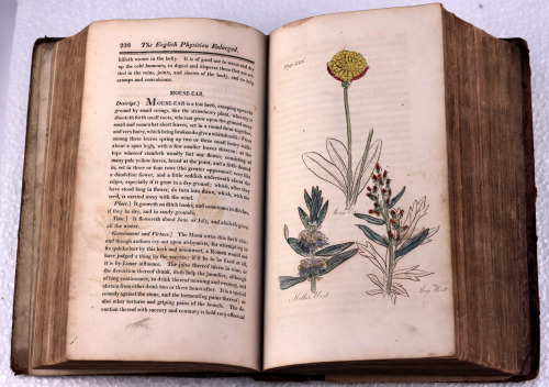 michaelmoonsbookshop:worn early 19th century Herbal with 50 hand coloured engraved plates Printed in