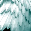 Stimboard For My Favorite Angel
