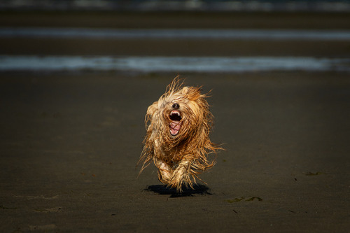 And the final series from Lewis beach adventure. These faces he&rsquo;s making here are too funny n