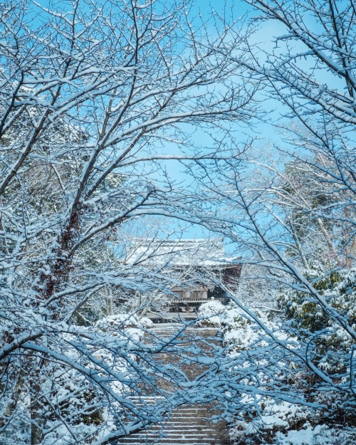 Snow in the Mountain Temple雪の朝、亀岡の雪景色を上から見ようと向かった獨鈷抛山。しばらくは下が見えないくらい視界が悪かったけど、次第に幻想的な景色が広がっていきました。 #