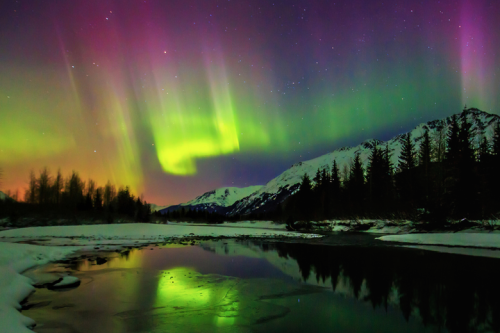 martin-jhnsx:  nubbsgalore:aurora over alaska adult photos