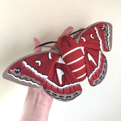 A sweet ceanothus moth, lookin for a new home. He will be available on Sunday at 6:00pm EST ...#moth