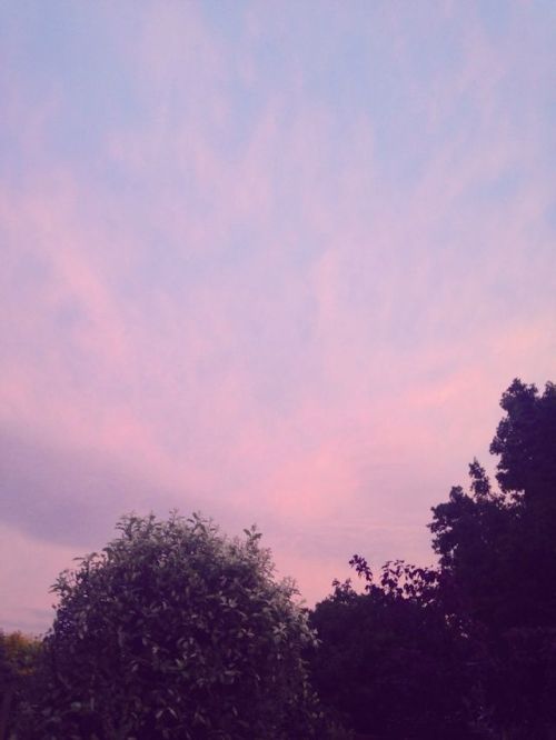 deerdork:  the night before thunderstorms are due 
