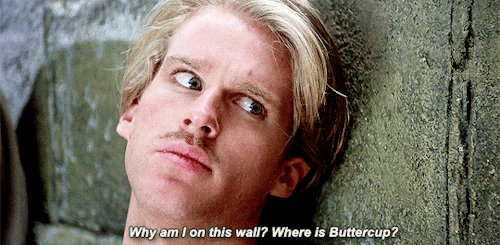 brucelangley:Buttercup is marrying Humperdinck in a little less than half an hour, so all we have to