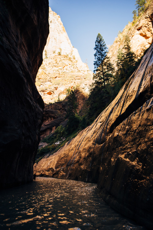 christophermfowler:The Narrows | Zion National Park, UT | October 2017