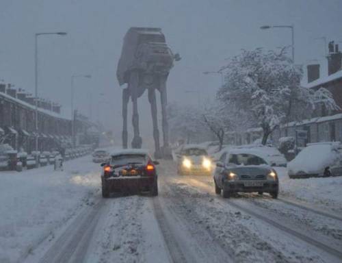 coldtofire:  wolfman6837: lilangeldevilkitten:   imagesandinspirations:   anotherbondiblonde: It’s getting crazy out there! 🤣🤣 Soo meanwhile in Scotland 😳😄   Hahaha!  @yourlord-b, @wolfman6837, @phoenix23, @mikemojito2, @myfuntymes2015 