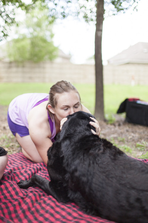 oliveracedavis: huffingtonpost: THIS DOG’S FINAL DAY PROVES WE SHOULD LIVE EVERY DAY LIKE IT’S OUR L