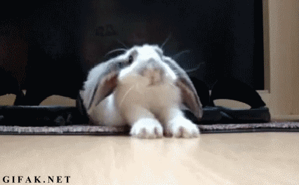 stricklybunnies:  Hehe