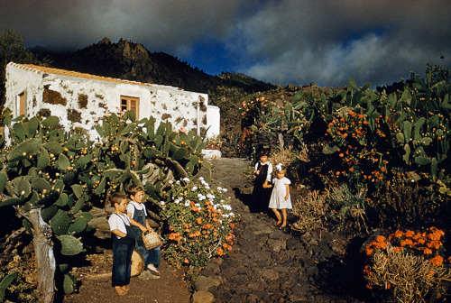 natgeofound:Children play barefoot in a cactus garden on the Canary Islands, 1955. Photograph by Fra