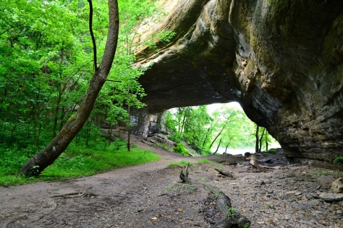 Creelsboro Natural Bridge in Russell County, KY