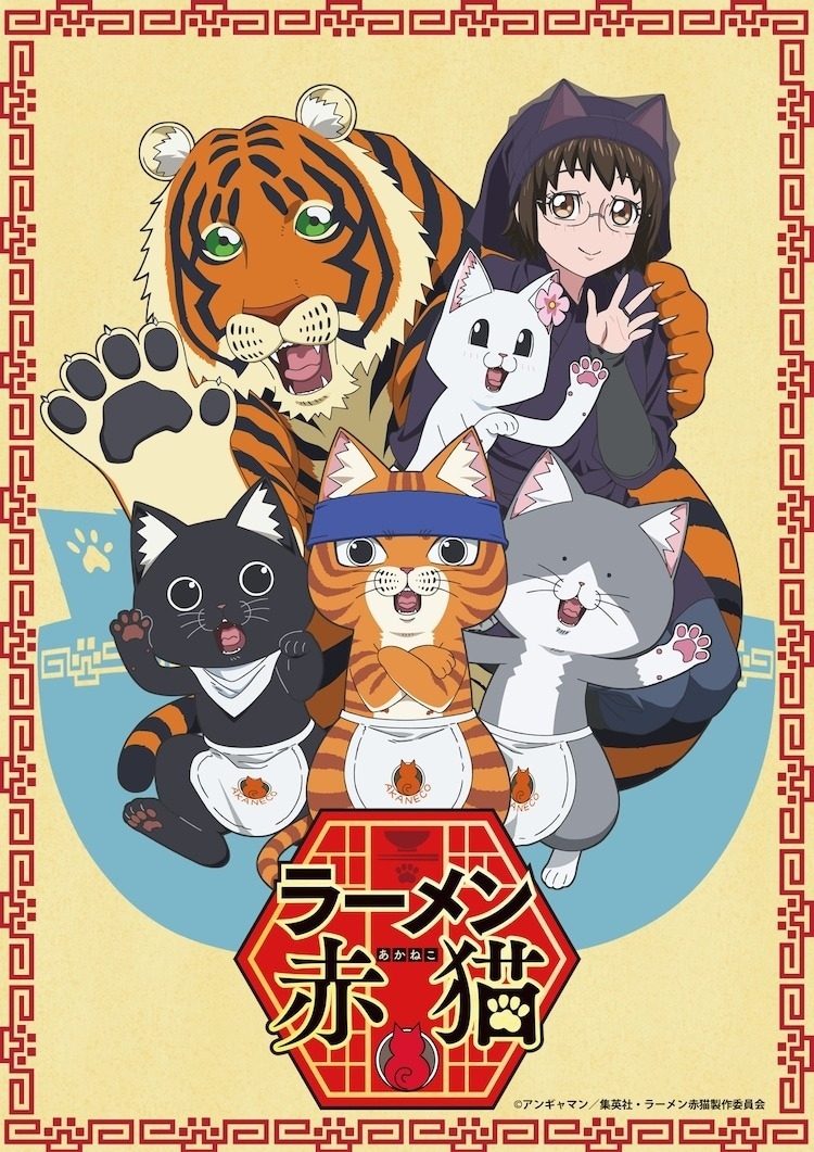 Feline Companionship