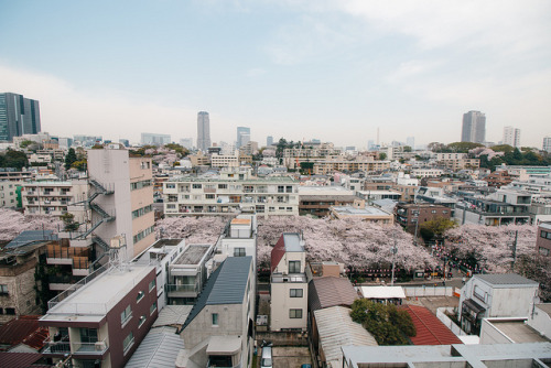 harukari:Aobadai by nalice_malice on Flickr.