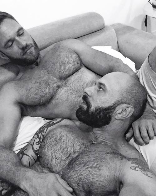 hairychestg:  Hairy 